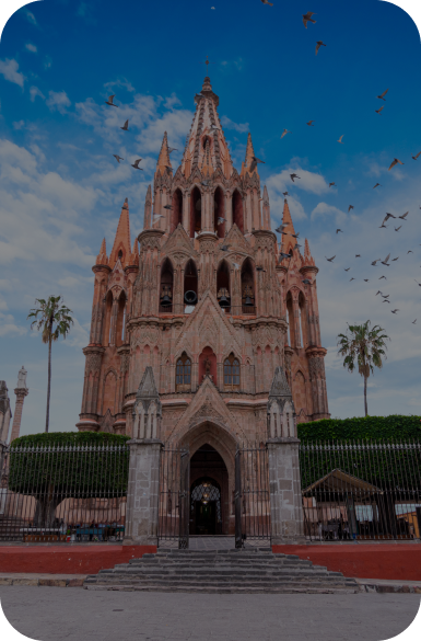 Lorem ipsum dolor sit amet consectetur